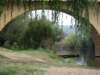 Photo Number 8