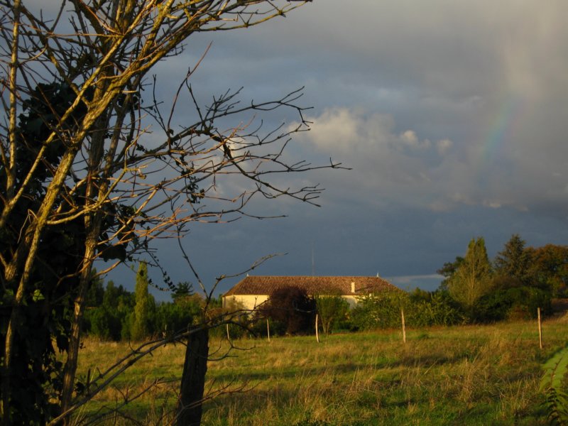 Photograph
