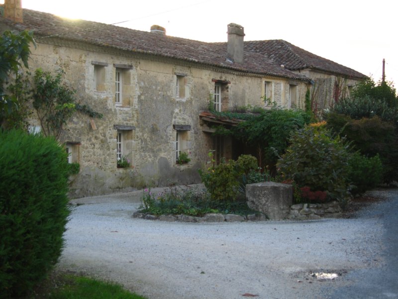 Photograph