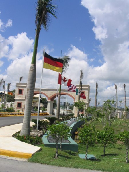 Photograph