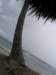 Photo Number 5