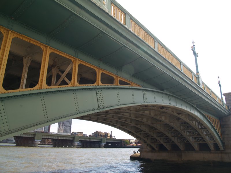 p8264159.jpg