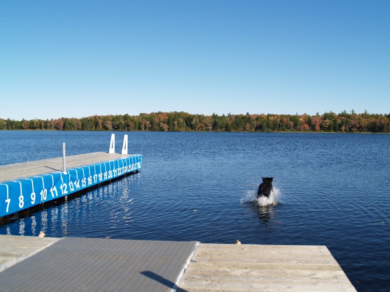 pa064513.jpg