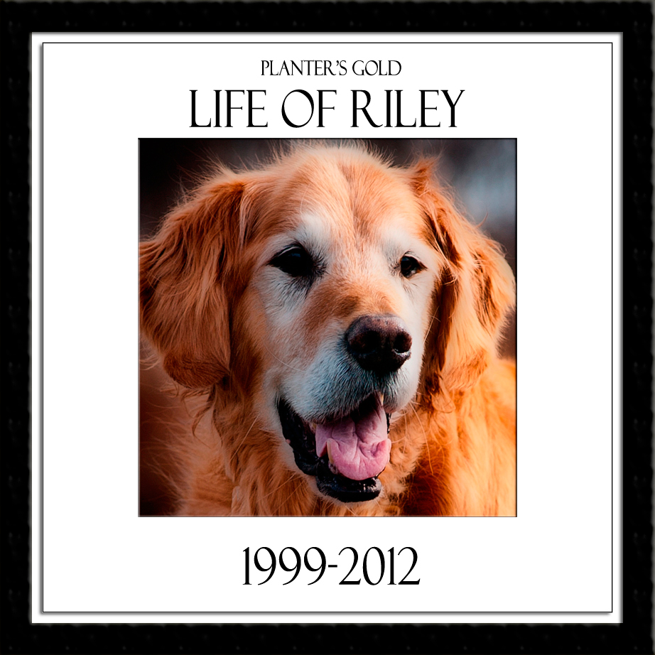 Riley, Life Of