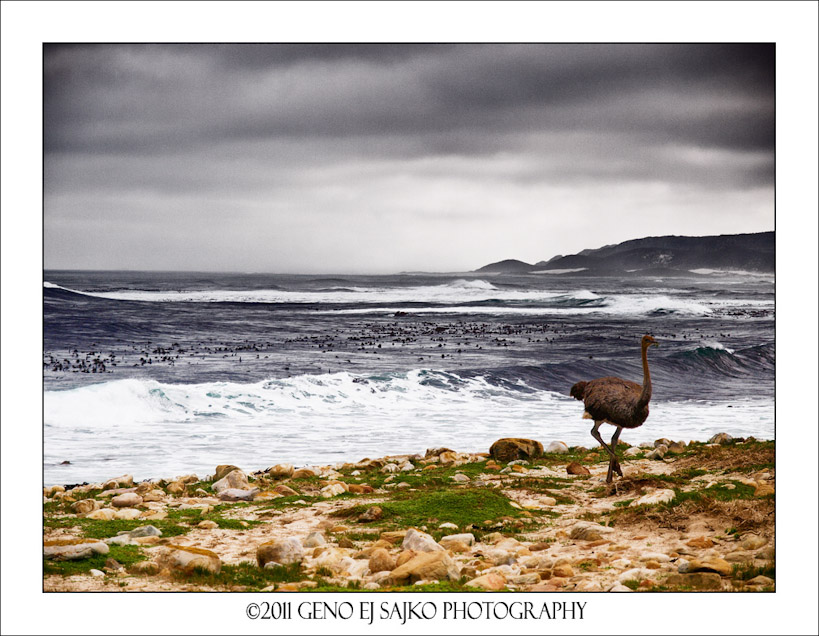 Cape of Good Hope